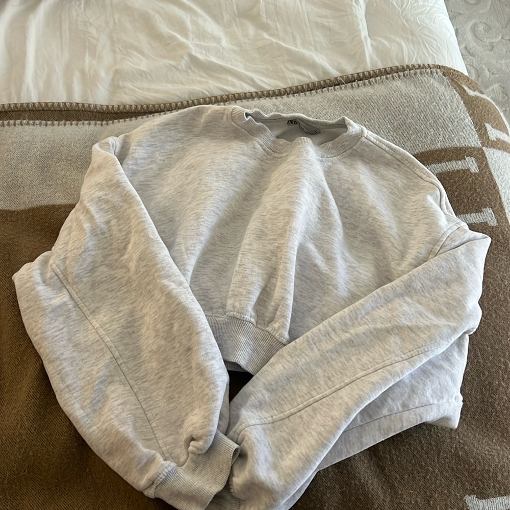 Cropped Zara sweatshirt